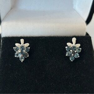 NIB genuine blue sapphires 925 sterling silver stud earrings Septemberbirthstone